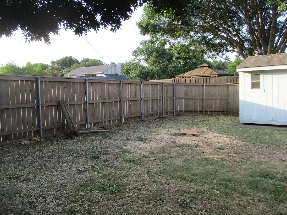Cleared yard after professional tree removal in Red Creek
